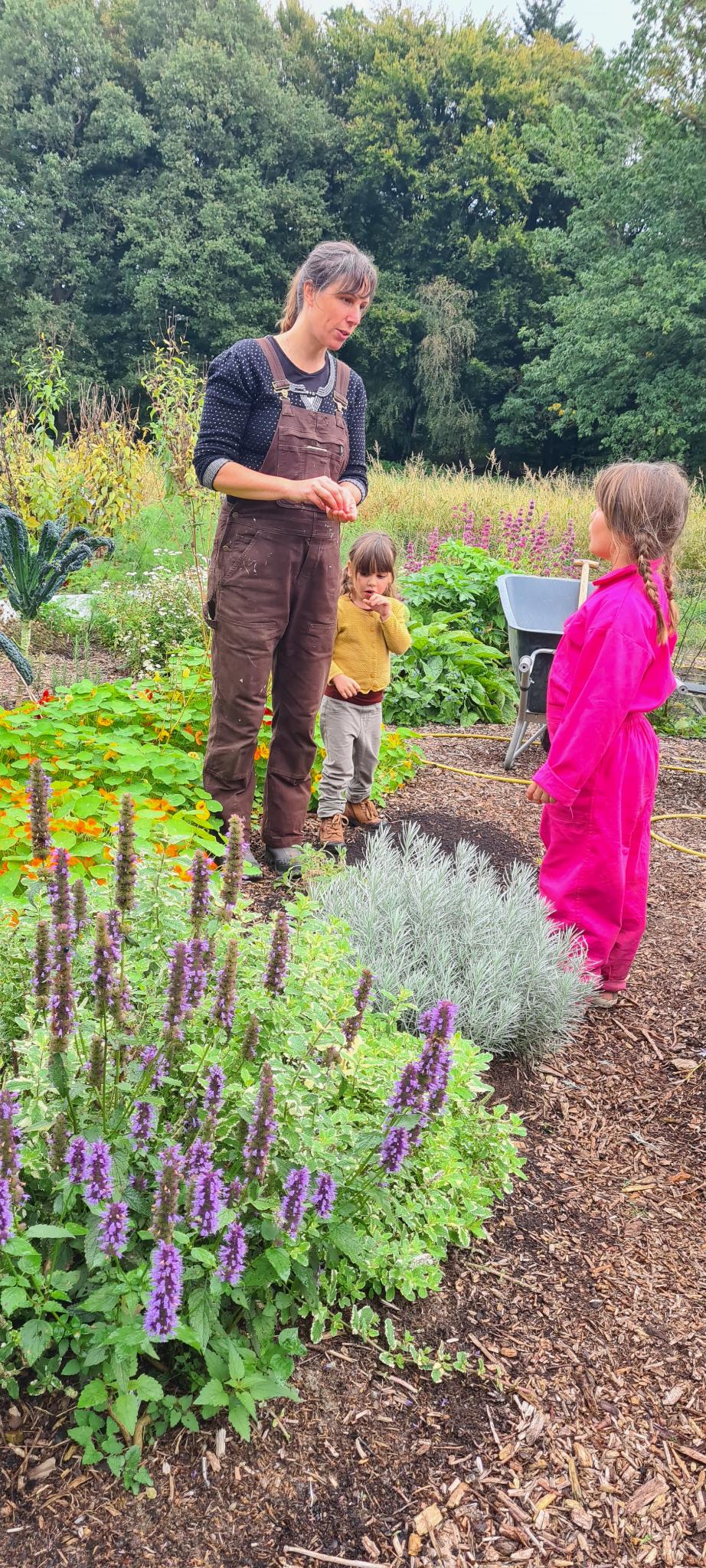 Gezamenlijk planten in het voedselbos