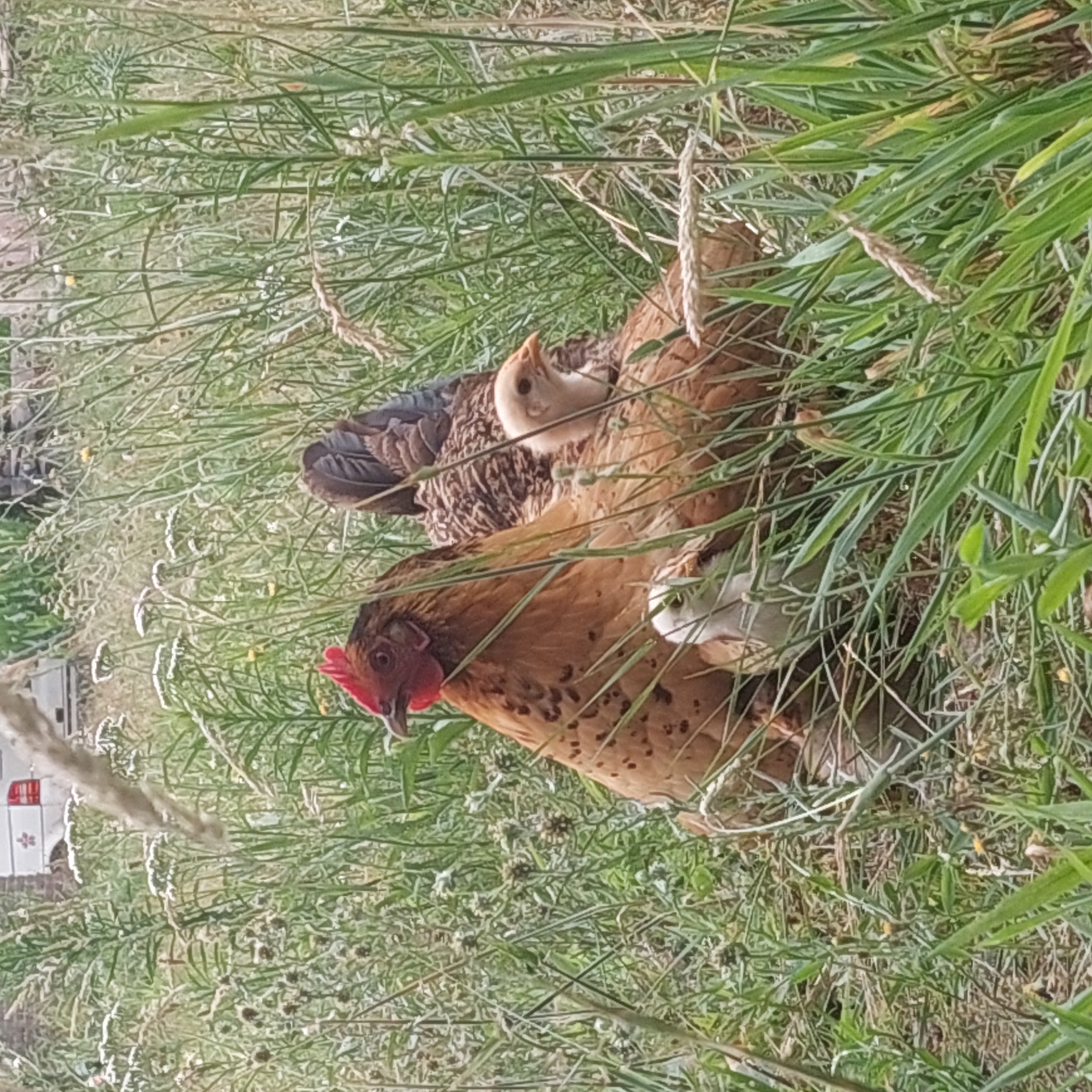 De luwtezone met natuur en rust