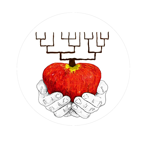Logo Stichting ReGeneratie
