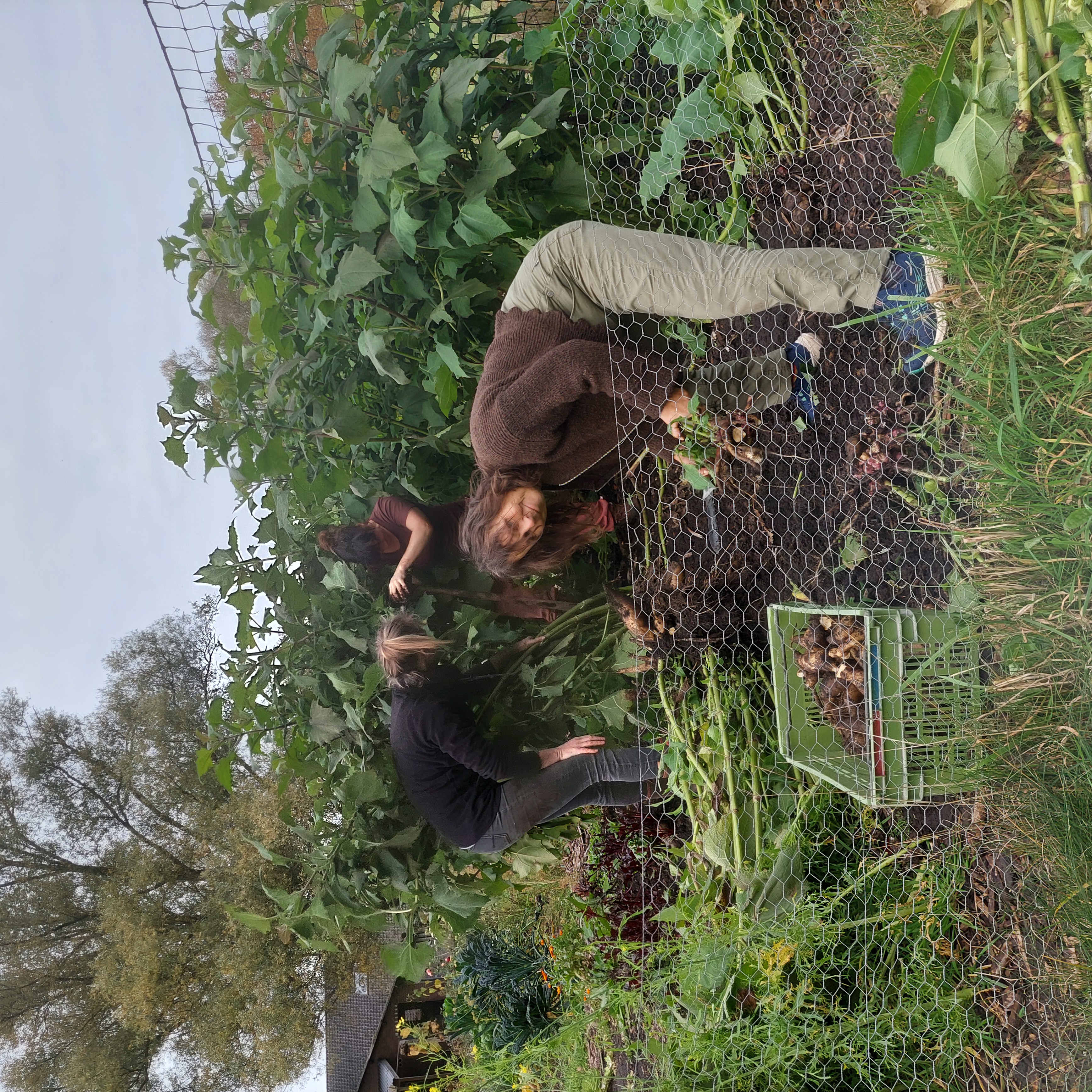 Vrijwilligers aan het werk in de moestuin van Mariënhoeve